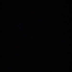 Meet your Posher, Lydia